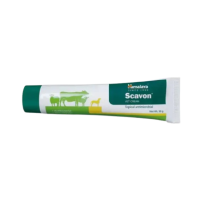 Scavon Cream