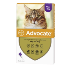 Advocate for Cats