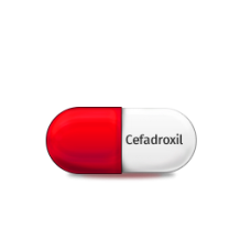 CEFADROXIL