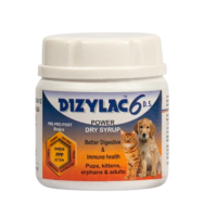 Dizylac Dry Syrup