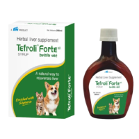 Tefroli Forte Syrup