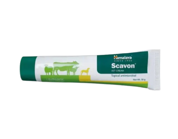 Scavon Cream