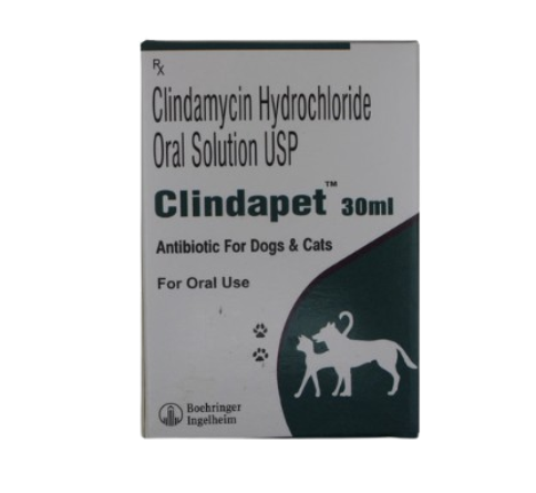 Clindapet