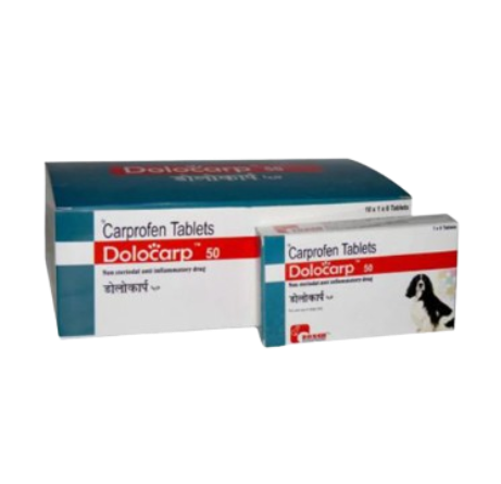 Dolocarp for Dogs